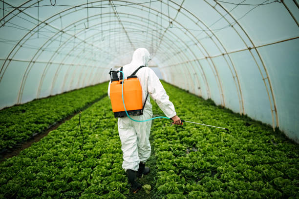 Best Ant Control Services  in Heyworth, IL