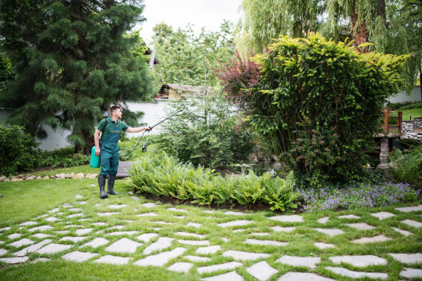 Best Local Pest Control Services  in Heyworth, IL