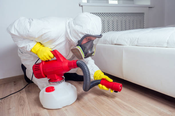 Best Bed Bug Extermination  in Heyworth, IL