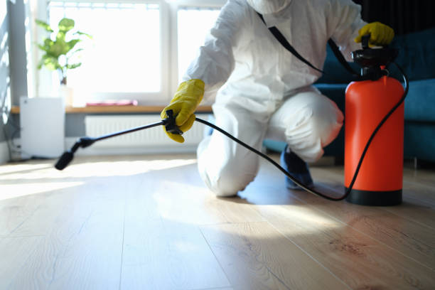 Best Mosquito Control Services  in Heyworth, IL