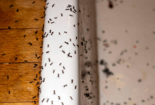 Best Wildlife Control Services  in Heyworth, IL