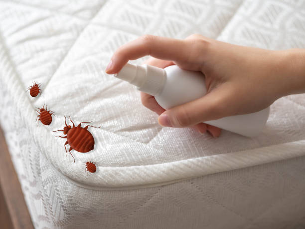 Best Emergency Pest Control  in Heyworth, IL